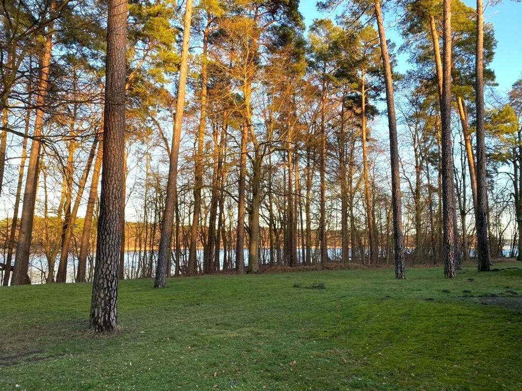 Ferienhaus Direkt Am See Uckermark Templin Esterno foto